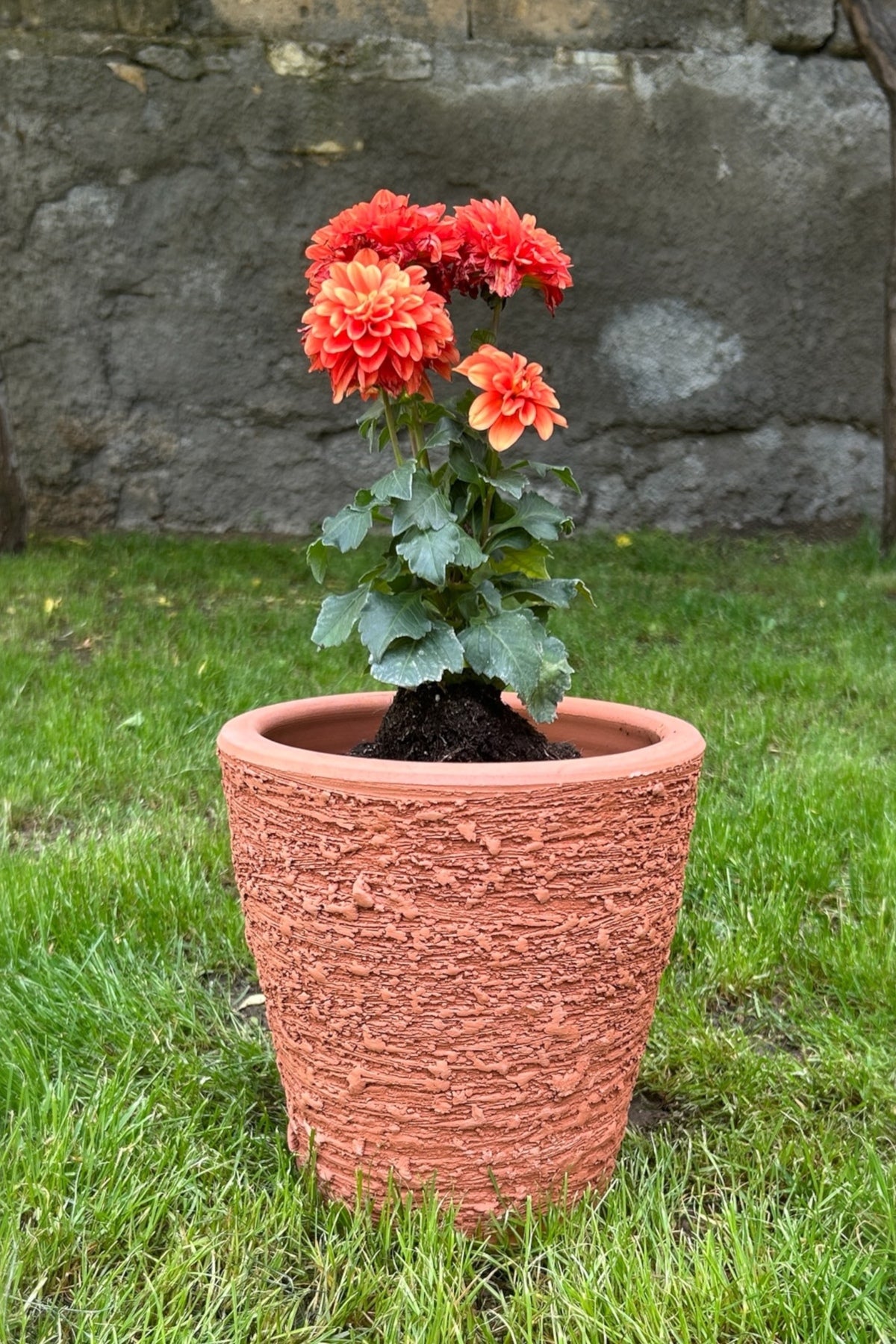 Dekoratif Taraklı Toprak Saksı - Çiçeklik Küçük Boy El Yapımı 22x22 Cm (TABAKLI)