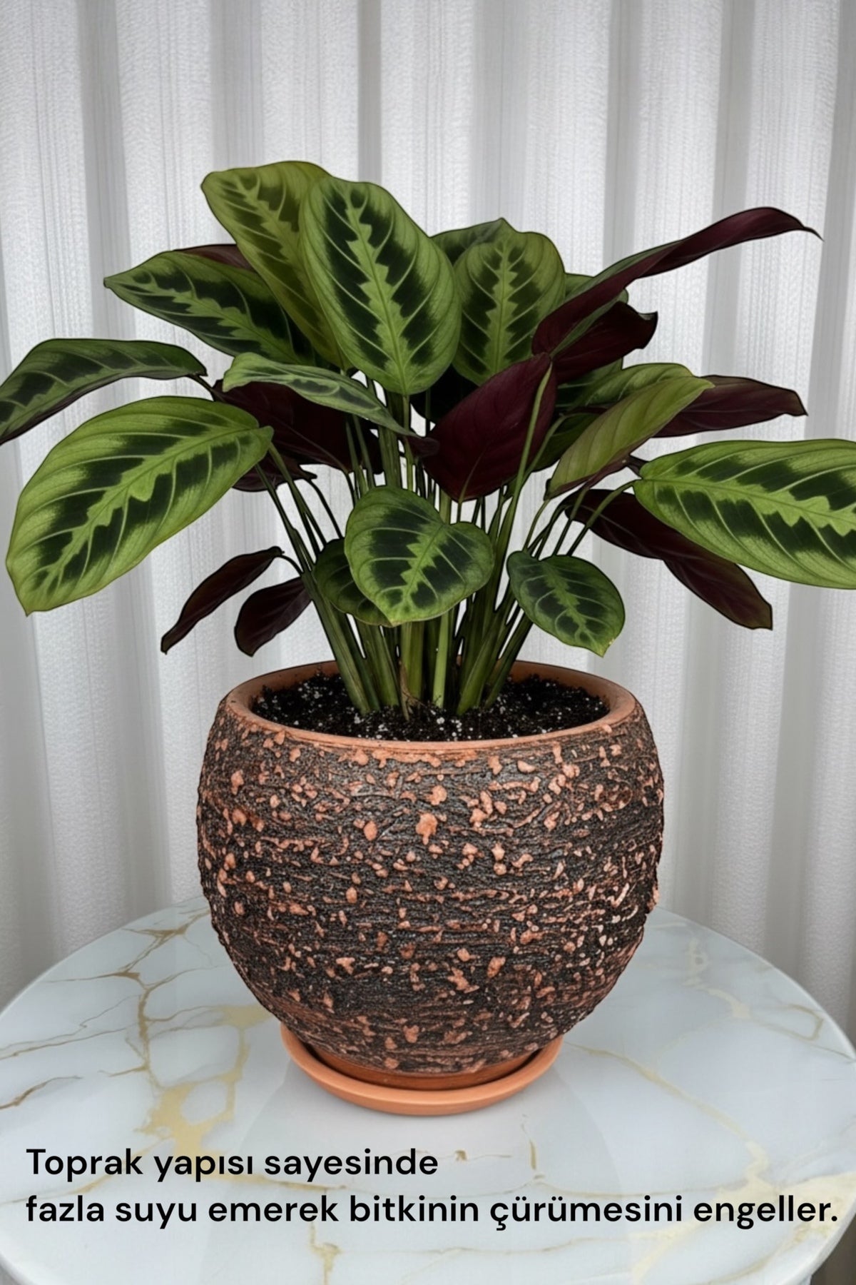 El Yapımı Toprak Saksı Siyah Dokulu 23*23 cm (TABAKLI)