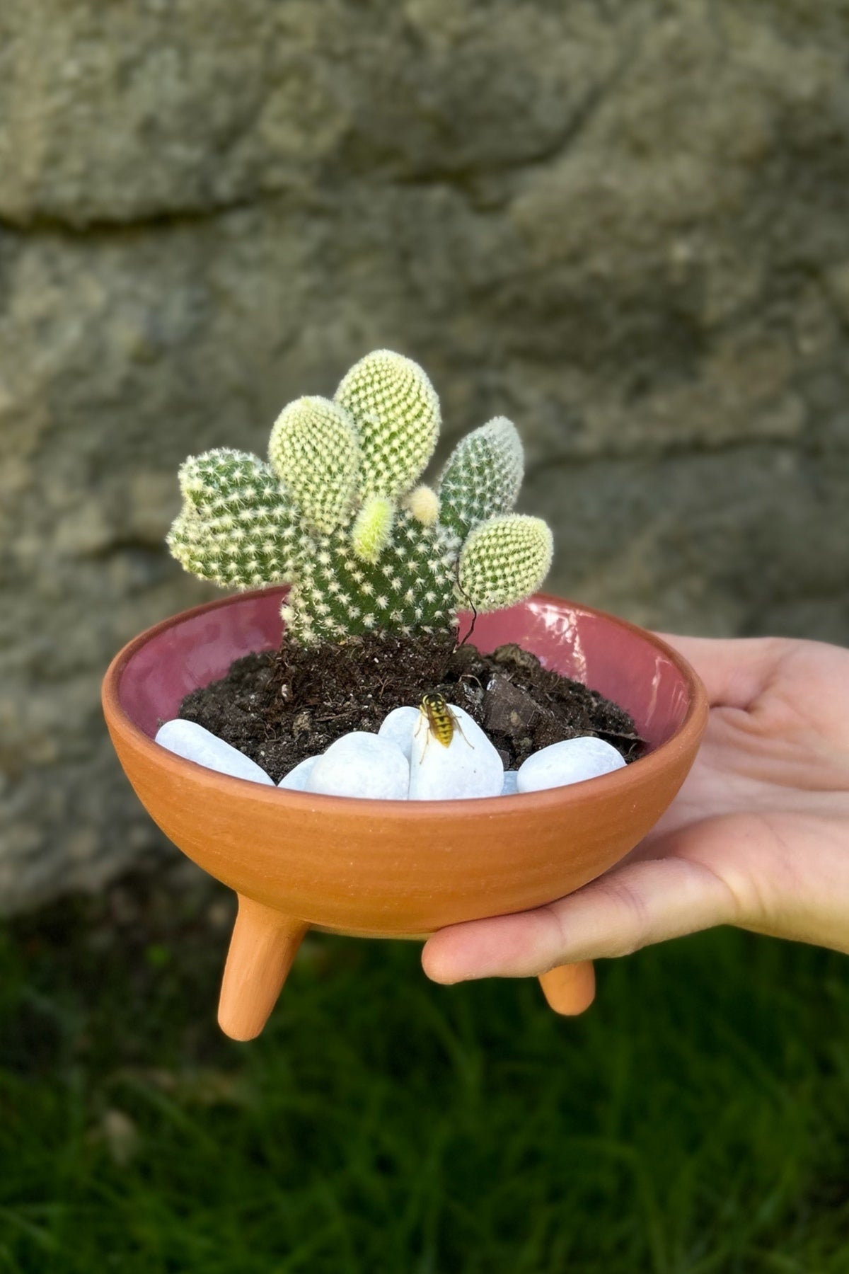 3'lü El Yapımı Toprak Ayaklı Kase Sukulent Saksısı-Dekoratif Kase 12 cm